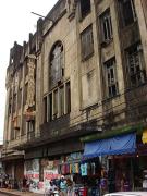 Jandaia.ft.GeraldoMoniz.1498DRTBa (6)