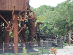 Frans Krajcberg IPAC (17)