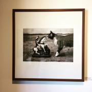 AmémAxé_Fotos Helder Florentino (5)