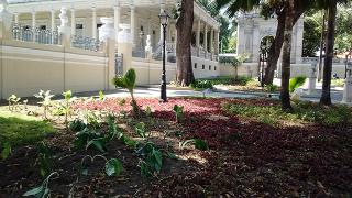 Flora.PasseioPúblico.ftGeraldoMoniz (2)
