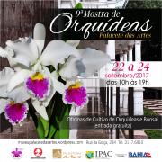 banner para facebook e instagram