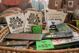 Feira Vegana no Passeio Público-Milena Fahel   (59)