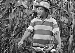 Trabalhadores Rurais da Bahia_Museu Udo Knoff (2)