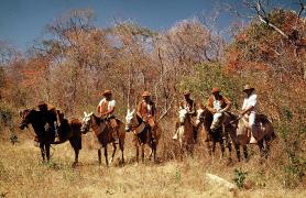 Vaqueiros da Baixa Verde Barreiras Elias Macarenhas red