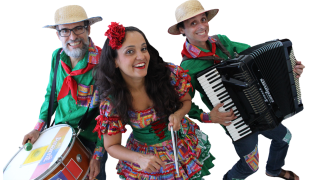 Trio  ARRAIÁ DO ANARRIÊ 05