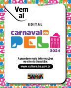 carnavalpelô