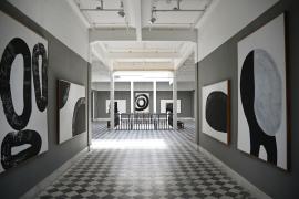 Sinergia e Atavismo - Bel Borba_Foto Fernando Barbosa.