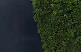 Parceria com Sesc TV exibe Amazônia, Arqueologia da Floresta
