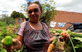 Mandioca, casa de farinha e água da chuva no Rural Produtivo