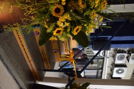 Foto Rogério Couto_ASCOM PGE-BA