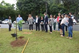 1528993532Plantio_de_arvore_e_Troca_Verde_140618_068