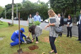 1528993549Plantio_de_arvore_e_Troca_Verde_140618_070