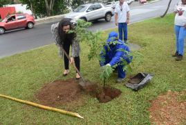 1528993586Plantio_de_arvore_e_Troca_Verde_140618_087