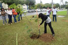1528993643Plantio_de_arvore_e_Troca_Verde_140618_116