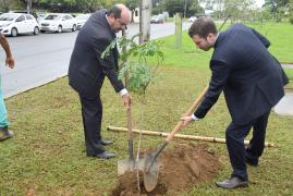 1528993721Plantio_de_arvore_e_Troca_Verde_140618_147