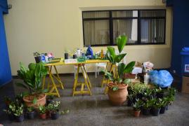 1528993823Plantio_de_arvore_e_Troca_Verde_140618_182