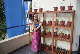 1543002631Inauguracao_horta_PGE_23112018_111