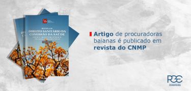 site - artigo revista