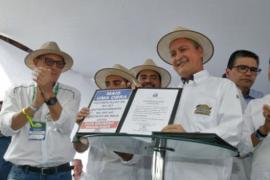 WhatsApp Image 2022-06-02 at 14.25.07