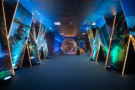 54133975546_b79c4b85c6_o