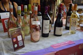 Fotos Rogério Couto_ASCOM PGE-BA (28)