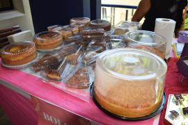 Fotos Rogério Couto_ASCOM PGE-BA (41)