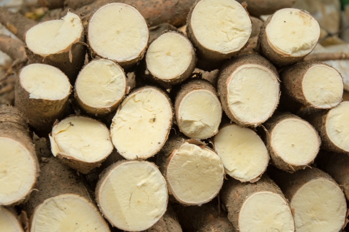 Produtos da agricultura familiar trazem qualidade, tradição e sabor para as festas juninas