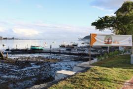 Projeto Maré realiza plantio de 3 mil mudas de manguezal em área do VLT no Subúrbio Ferroviário
