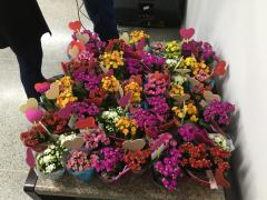 WhatsApp-Image-2023-05-12-at-09.58.17-2