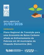 Edital PNUD Carbono.jpg