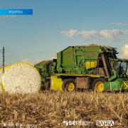 Mudanças climáticas levam à previsão de queda da safra de grãos da Bahia em 2024