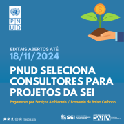Abertas inscrições para seleção de novos consultores SEI/PNUD para projetos de PSA e economia de baixo carbono