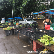 Cesta Básica de Salvador fecha março com alta de 1,72%