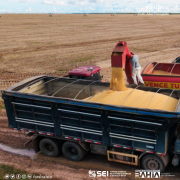 Em 2024, é esperada safra de grãos de 11,4 milhões de toneladas na Bahia