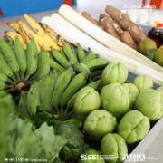 Pelo quinto mês consecutivo, Cesta Básica de Salvador apresenta elevação e encerra maio com alta de 3,21%