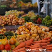 Cesta Básica de Salvador aumenta 0,58% em junho e acumula alta de 13,51% no primeiro semestre