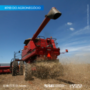 No 2º trimestre de 2024, agronegócio representou 28,4% de toda a economia baiana