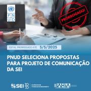 Seleção do PNUD para projeto de comunicação para a SEI foi prorrogado até 5 de maio