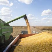 Agronegócio baiano cresce 3,6% no 4º trimestre e fecha 2022 com crescimento de 1,0% 