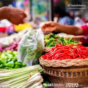 Custo da Cesta Básica de Salvador apresenta redução de 2,21% em setembro 