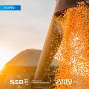 IBGE e Conab mantêm estimativas positivas para safra de grãos baiana em 2025