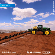 IBGE mantém previsão de queda para safra de grãos 2024 e Conab estima safra recorde para ciclo 2024/2025