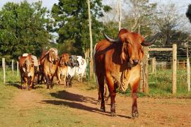 Economia baiana encerra 2018 com alta de 1,1%