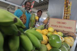 SEI divulga a participação da agricultura familiar na Bahia e nos territórios de identidade