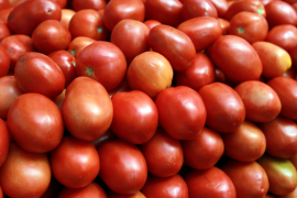 Em maio, Cesta Básica de Salvador apresenta redução de -1,33%