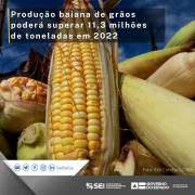 Produção baiana de grãos poderá superar 11,3 milhões de toneladas em 2022