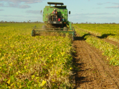 Agronegócio representa 24,3% da economia baiana