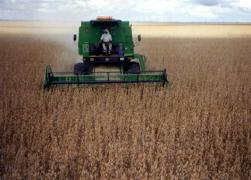 IBGE estima safra de 9,7 milhões de toneladas de grãos na Bahia em 2021