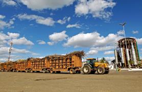 Agronegócio baiano tem crescimento de 11,2% no quarto trimestre de 2020