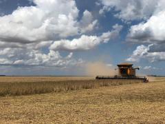 Safra de grãos pode alcançar 10 milhões de toneladas na Bahia em 2021